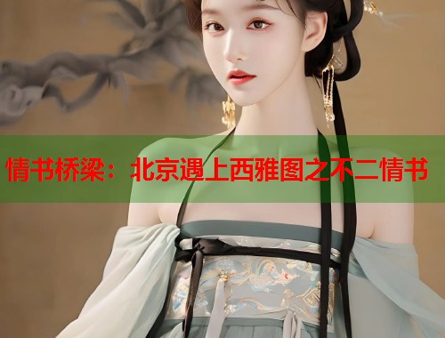 情书桥梁：北京遇上西雅图之不二情书