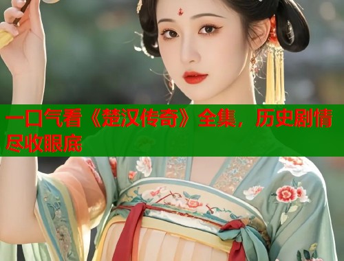 一口气看《楚汉传奇》全集，历史剧情尽收眼底
