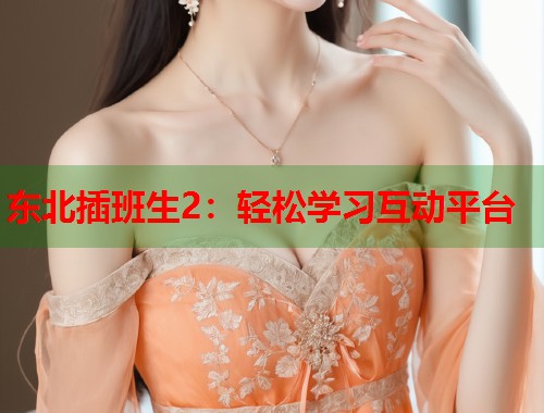 东北插班生2：轻松学习互动平台