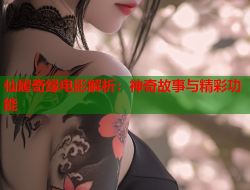 仙履奇缘电影解析：神奇故事与精彩功能