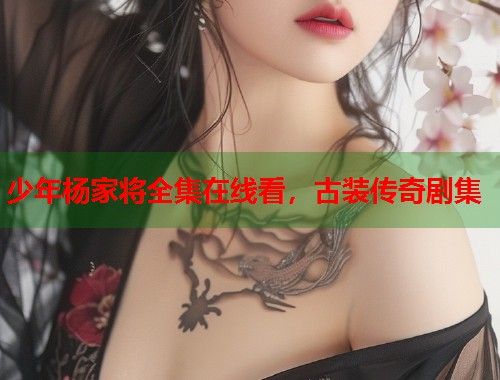 少年杨家将全集在线看,古装传奇剧集 少年杨家将全集在线看,古装传奇剧集