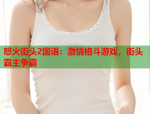怒火街头2国语：激情格斗游戏，街头霸主争霸