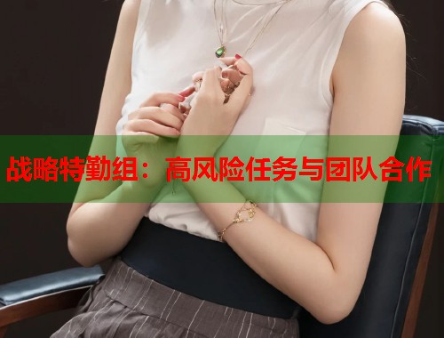 战略特勤组：高风险任务与团队合作